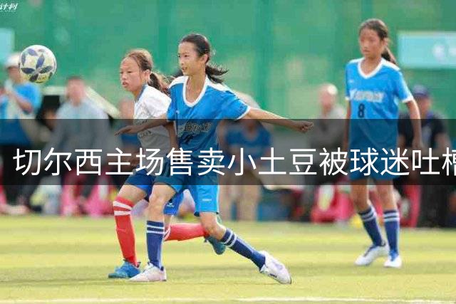 切尔西主场售卖小土豆被球迷吐槽：居然要7.5英镑