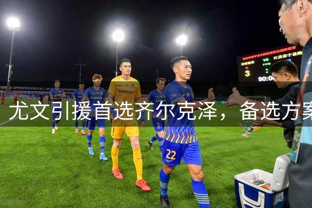 尤文引援首选齐尔克泽，备选方案瞄准沃尔特马德
