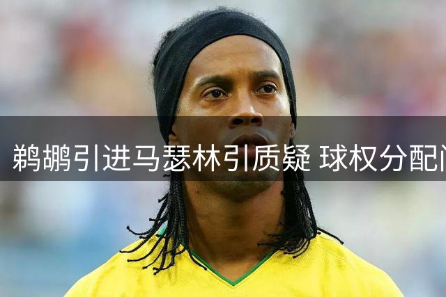 鹈鹕引进马瑟林引质疑 球权分配问题凸显