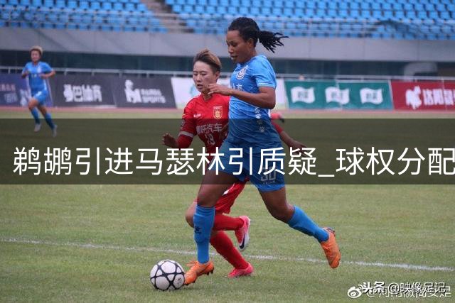 鹈鹕引进马瑟林引质疑 球权分配问题凸显